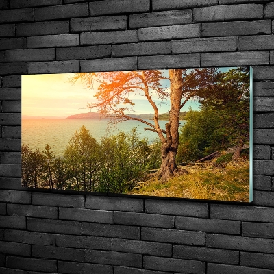 Glazen schilderij Scandinavisch meer