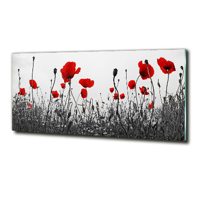 Schilderij glas Klaprozen