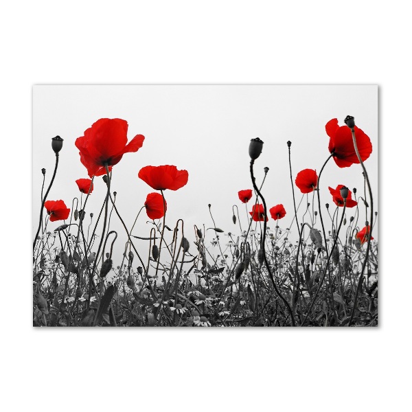 Schilderij glas Klaprozen