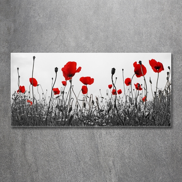 Schilderij glas Klaprozen