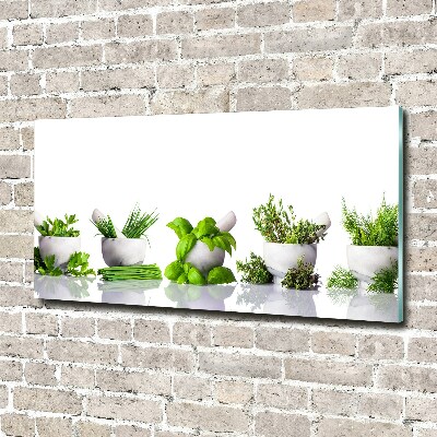 Foto schilderij op glas Kruiden
