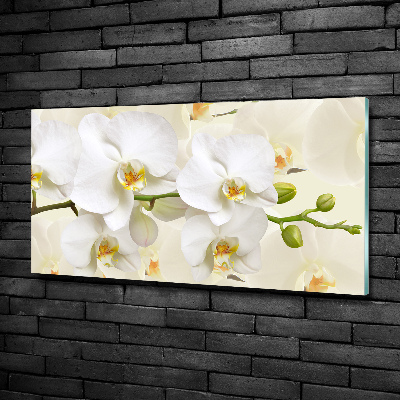 Schilderij op glas Orchidee