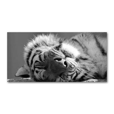 Schilderij glas Slapende tijger