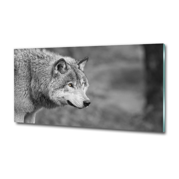 Foto schilderij op glas Grijze wolf