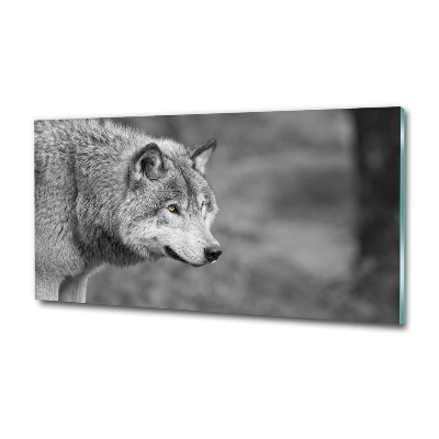 Foto schilderij op glas Grijze wolf