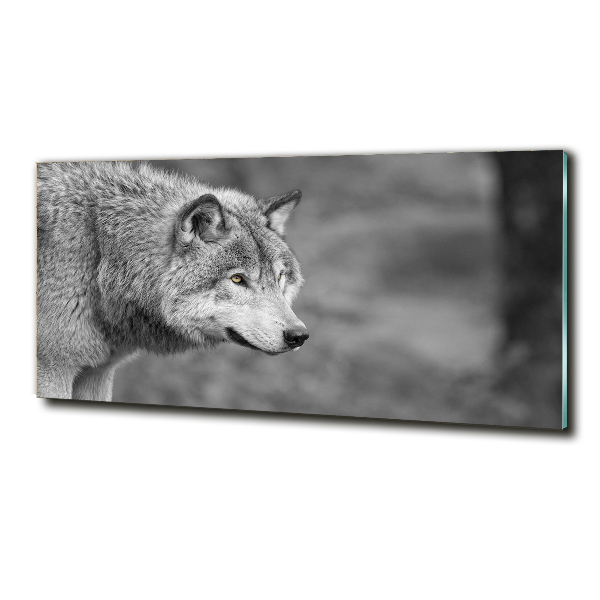 Foto schilderij op glas Grijze wolf