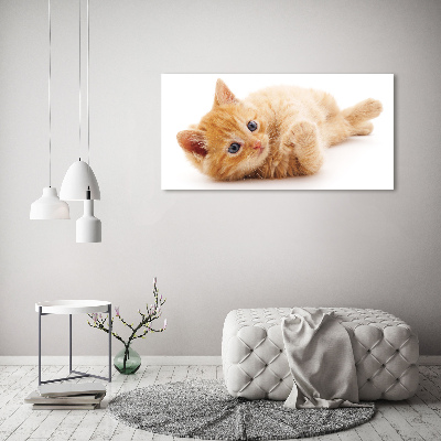 Schilderij op glas Gemberkat