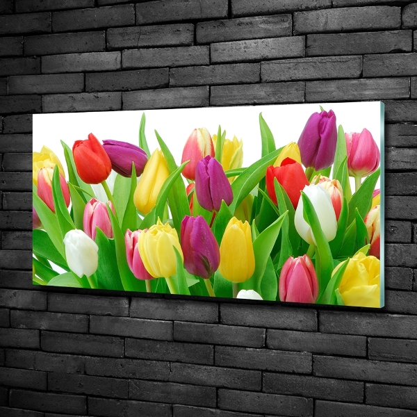 Glazen schilderij Kleurrijke tulpen