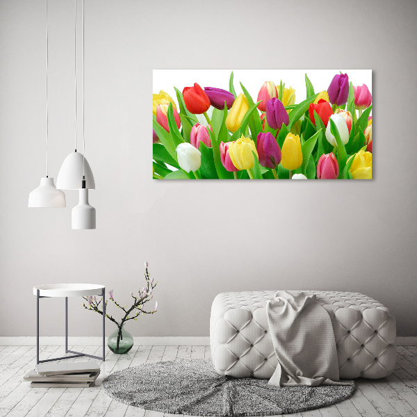 Glazen schilderij Kleurrijke tulpen