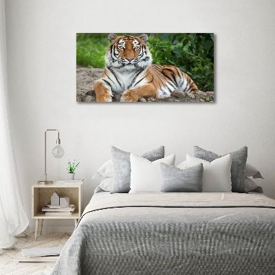 Glazen schilderij Siberische tijger
