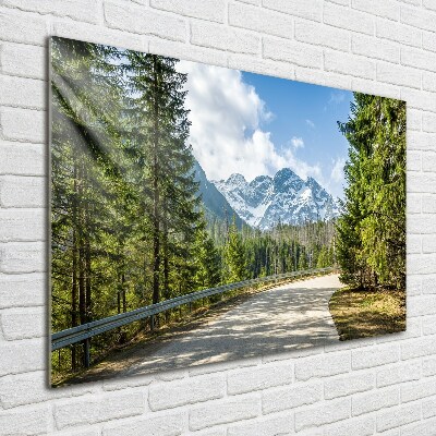 Schilderij op glas Tatra-gebergteweg
