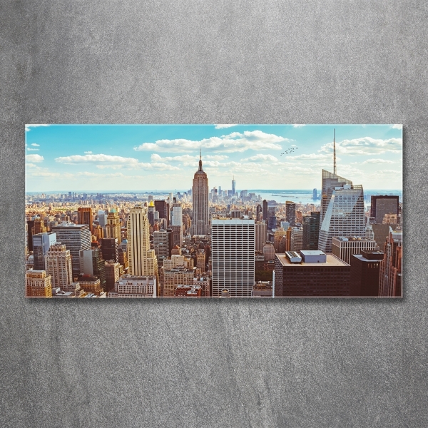 Foto schilderij op glas New York vanuit vogelperspectief