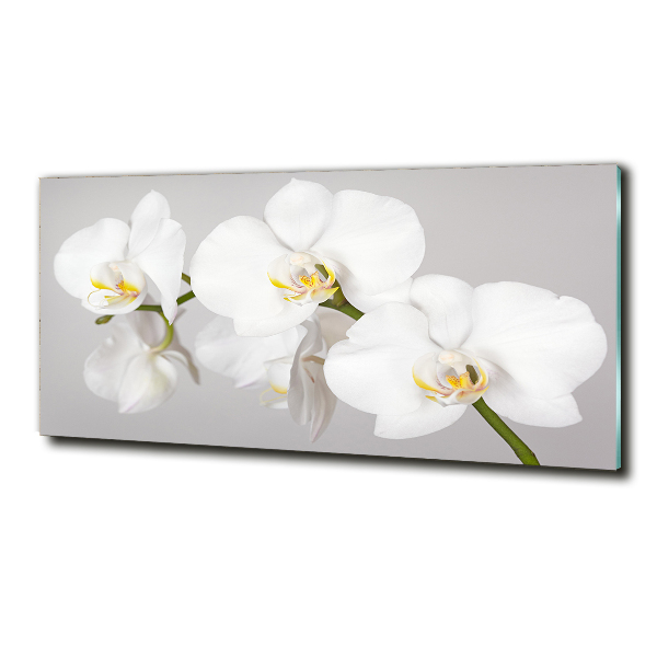 Schilderij glas Orchidee