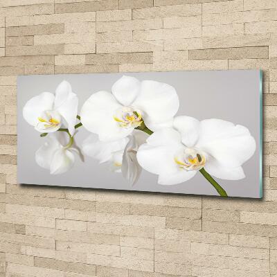 Schilderij glas Orchidee