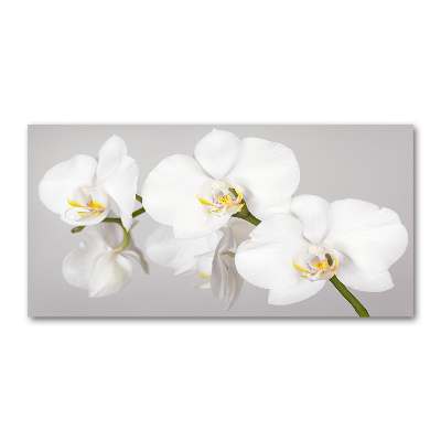 Schilderij glas Orchidee