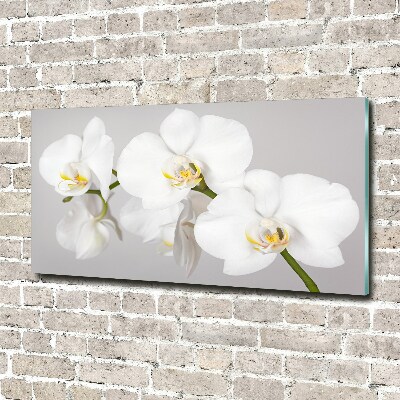 Schilderij glas Orchidee