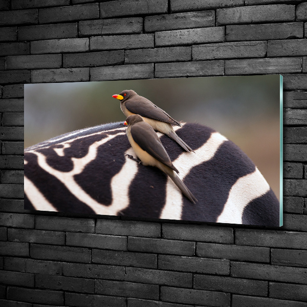 Schilderij op glas Vogels en zebra's
