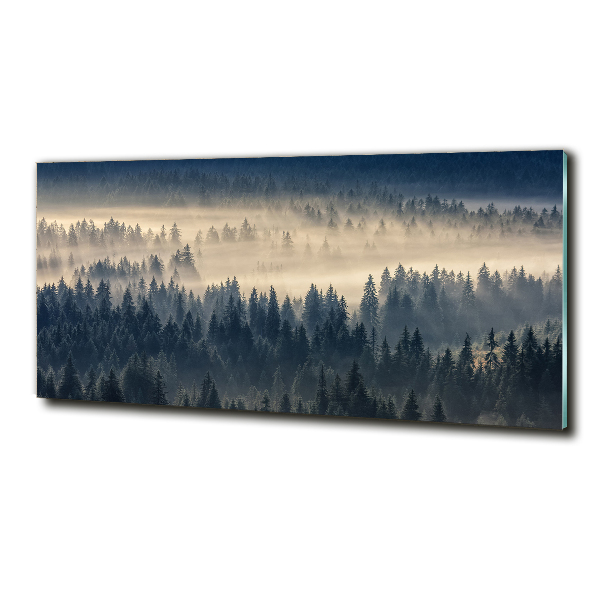 Schilderij glas Mist boven het bos
