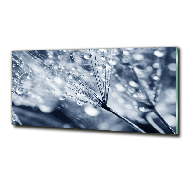 Glazen schilderij Paardenbloemzaden