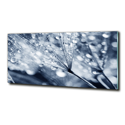 Glazen schilderij Paardenbloemzaden