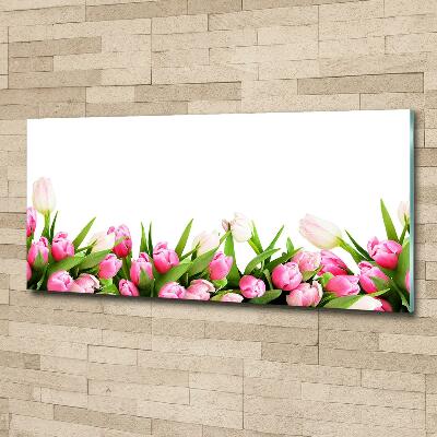 Foto schilderij op glas Roze tulpen
