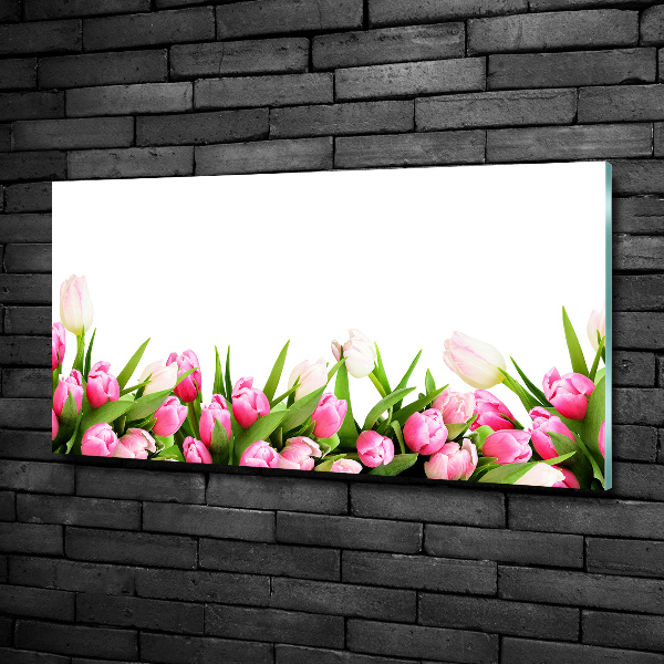 Foto schilderij op glas Roze tulpen