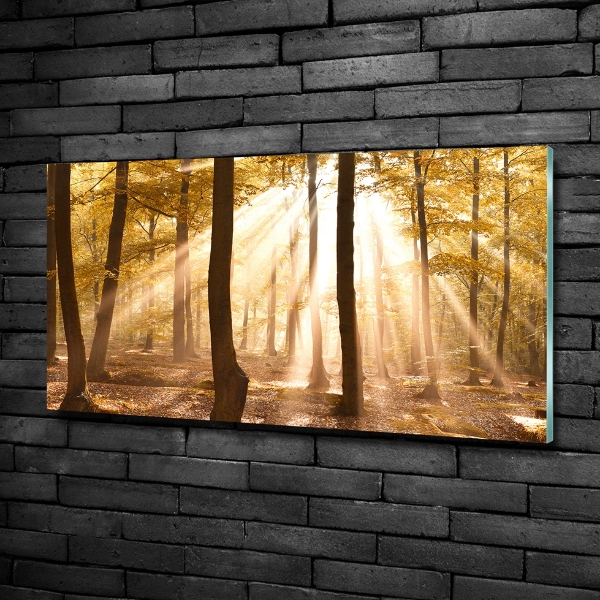 Glazen schilderij Bos in de herfst