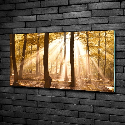 Glazen schilderij Bos in de herfst