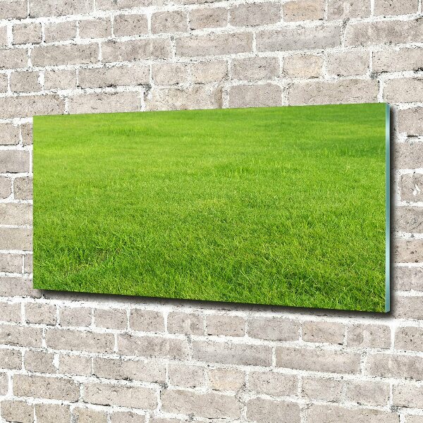 Foto schilderij op glas Groen gras