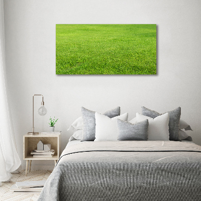 Foto schilderij op glas Groen gras