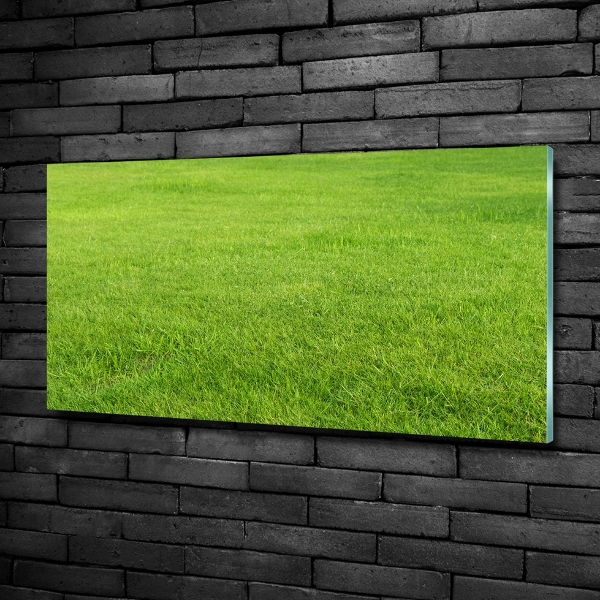 Foto schilderij op glas Groen gras