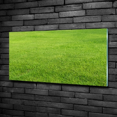 Foto schilderij op glas Groen gras