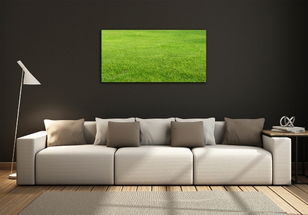 Foto schilderij op glas Groen gras