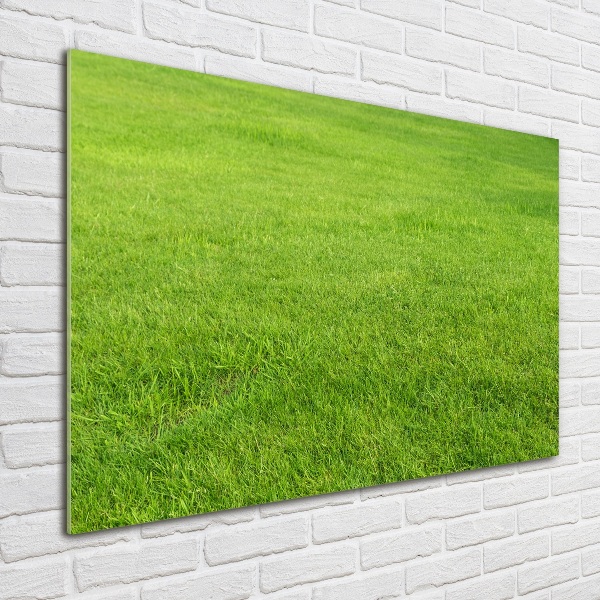 Foto schilderij op glas Groen gras