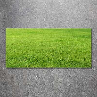Foto schilderij op glas Groen gras