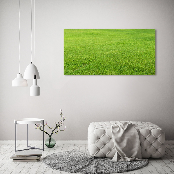Foto schilderij op glas Groen gras