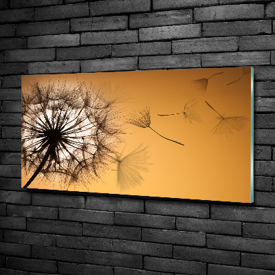 Schilderij glas Paardebloem