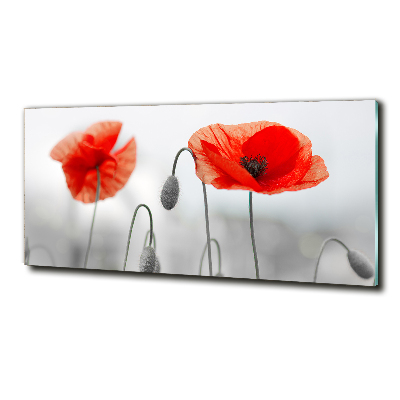 Glazen schilderij Klaprozen
