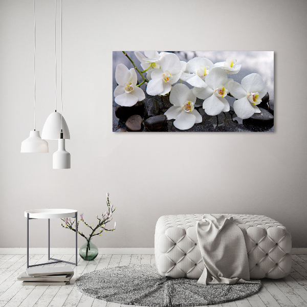 Schilderij op glas Orchidee