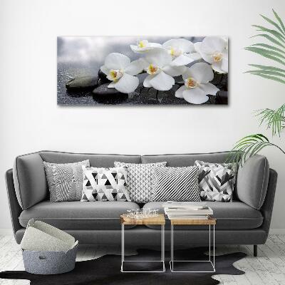 Glazen schilderij Orchidee