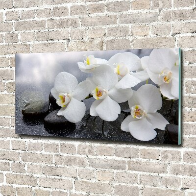 Glazen schilderij Orchidee