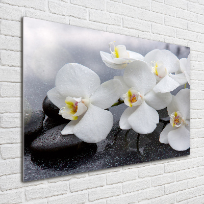 Glazen schilderij Orchidee
