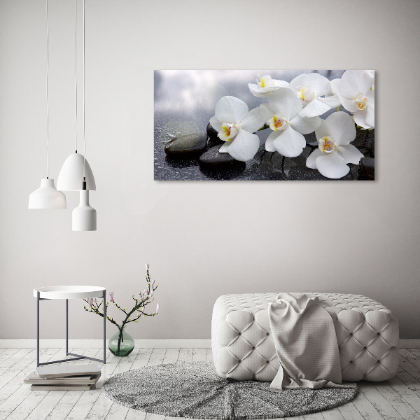 Glazen schilderij Orchidee