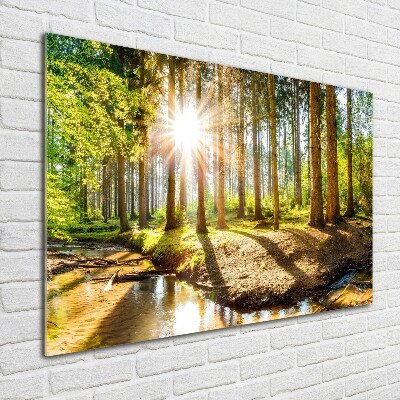Foto schilderij op glas Panorama van het bos