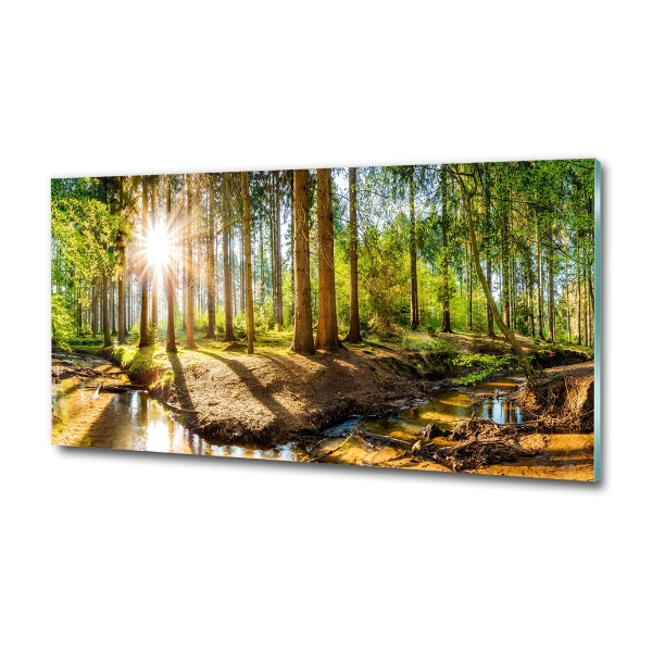 Foto schilderij op glas Panorama van het bos