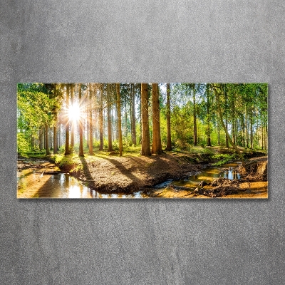 Foto schilderij op glas Panorama van het bos
