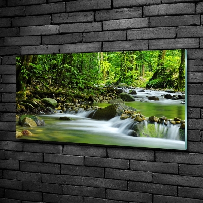 Glazen schilderij Bergstroom