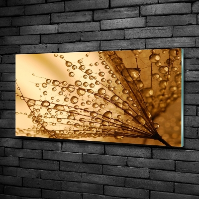 Glazen schilderij Paardenbloemzaden