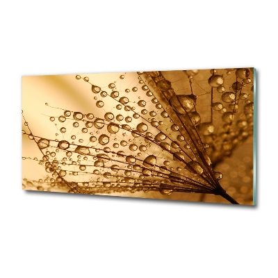 Glazen schilderij Paardenbloemzaden