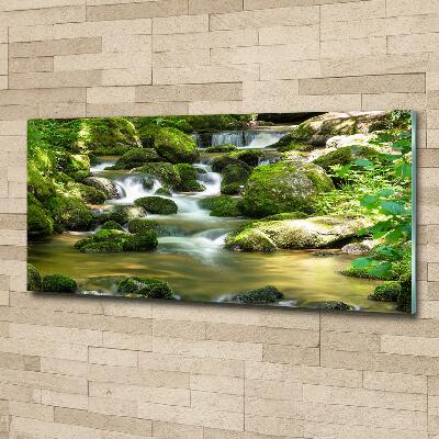 Glazen schilderij Waterval